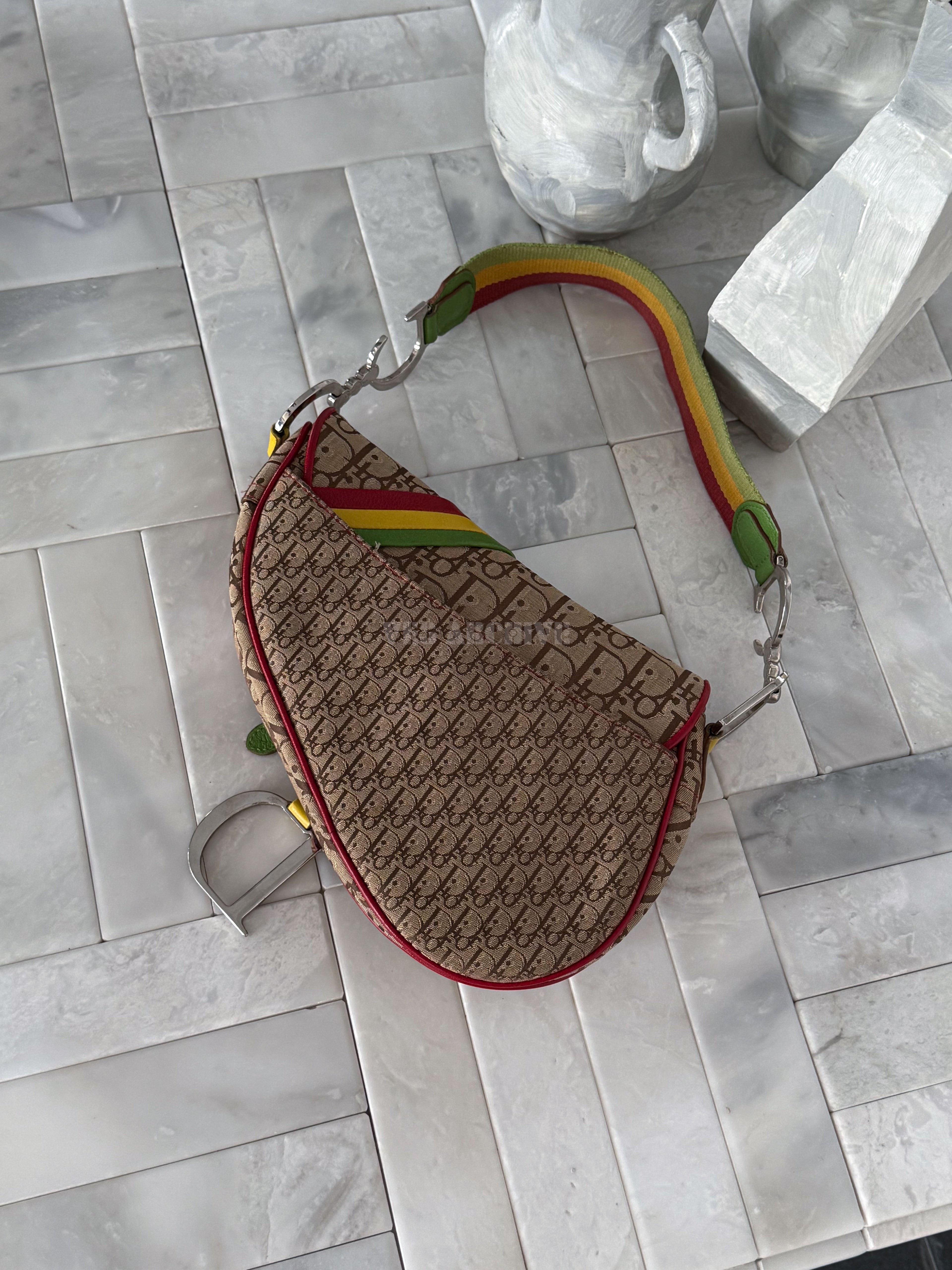 Dior Rasta Saddle Bag