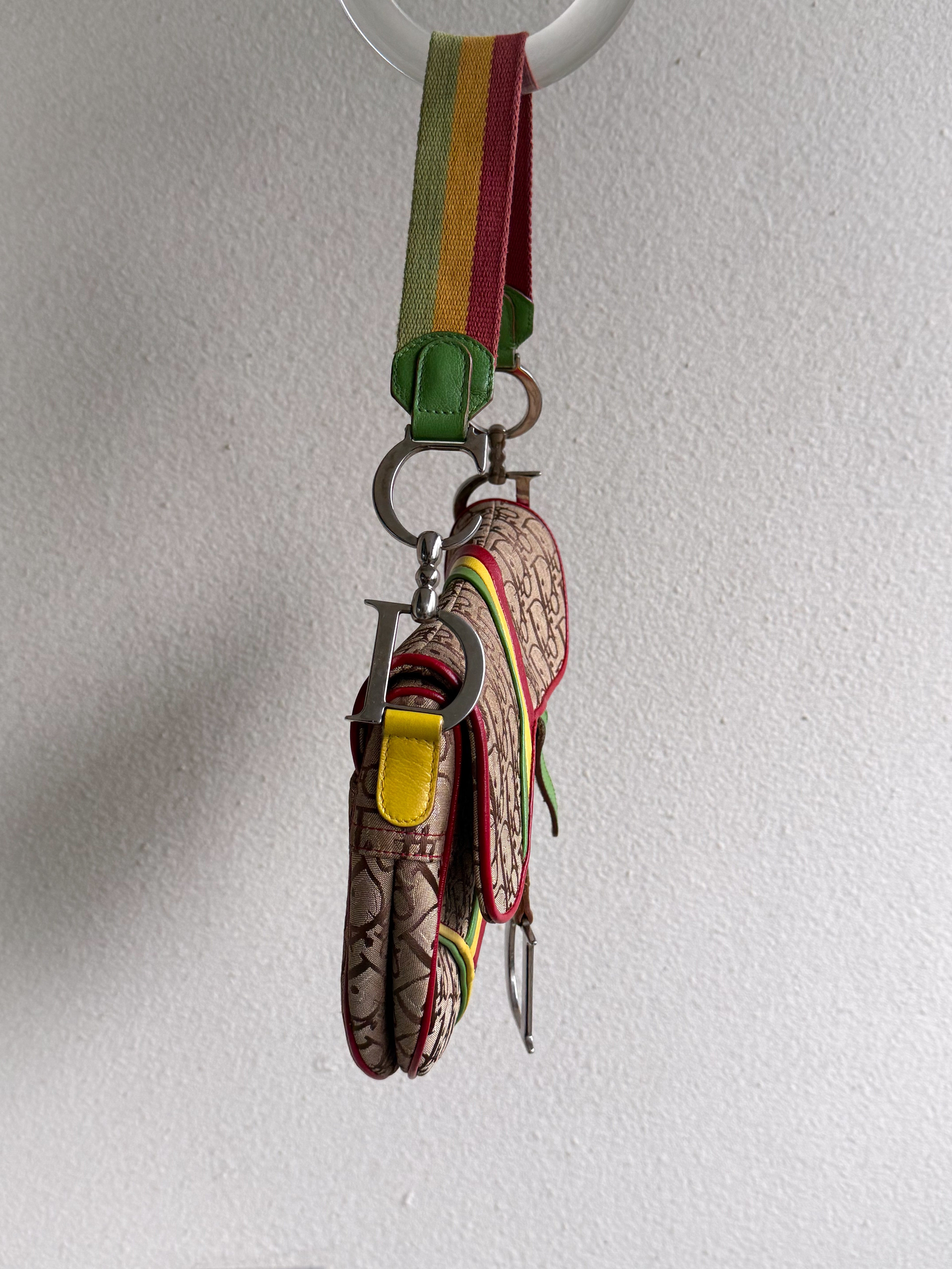 Christian Dior Pre-Owned Diorissimo Rasta Saddle