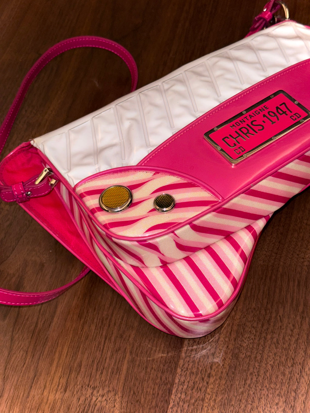 Dior 1947 Cadillac Saddle Bag in Pink Candy Stripes