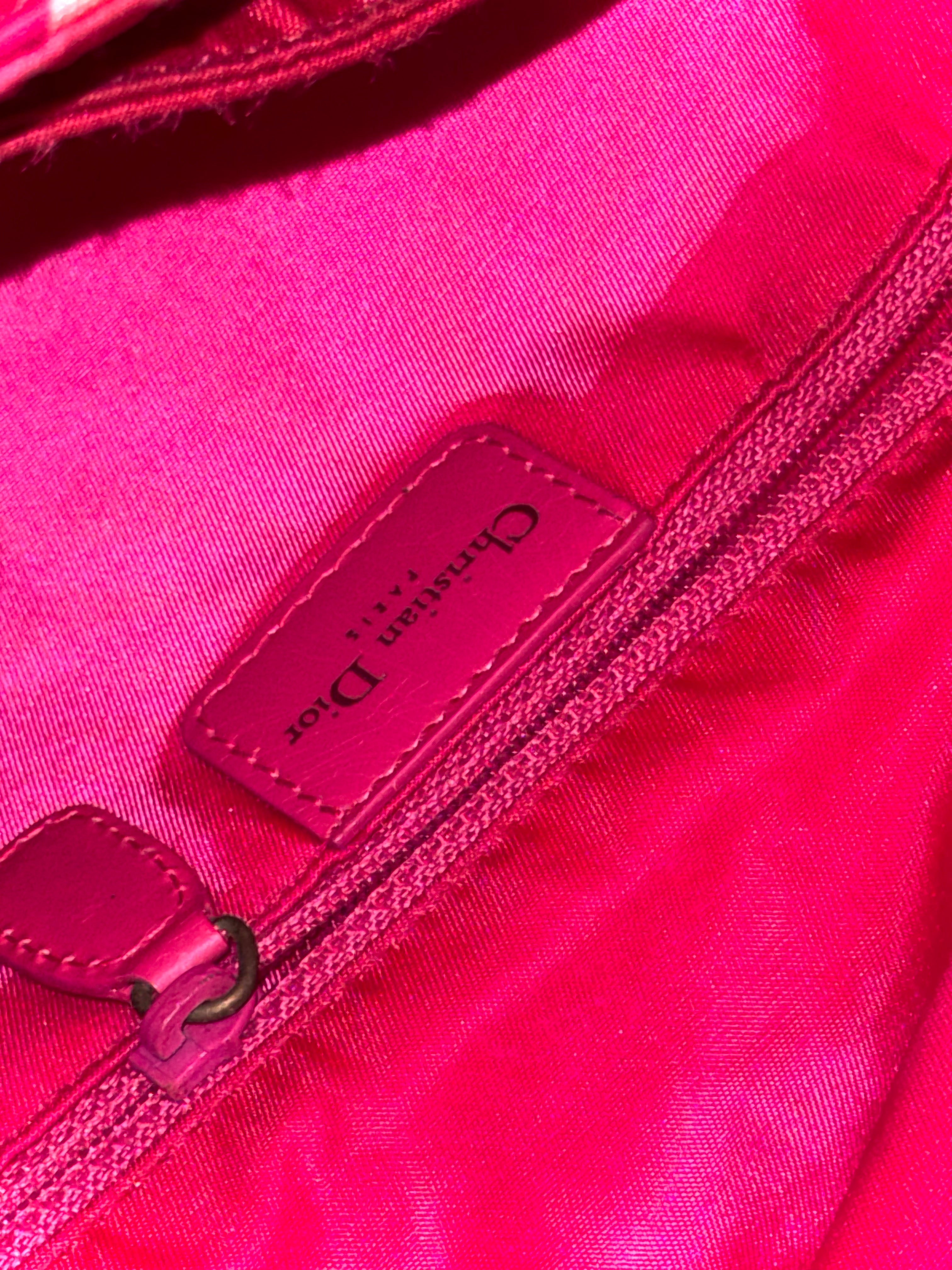 Dior 1947 Cadillac Saddle Bag in Pink Candy Stripes