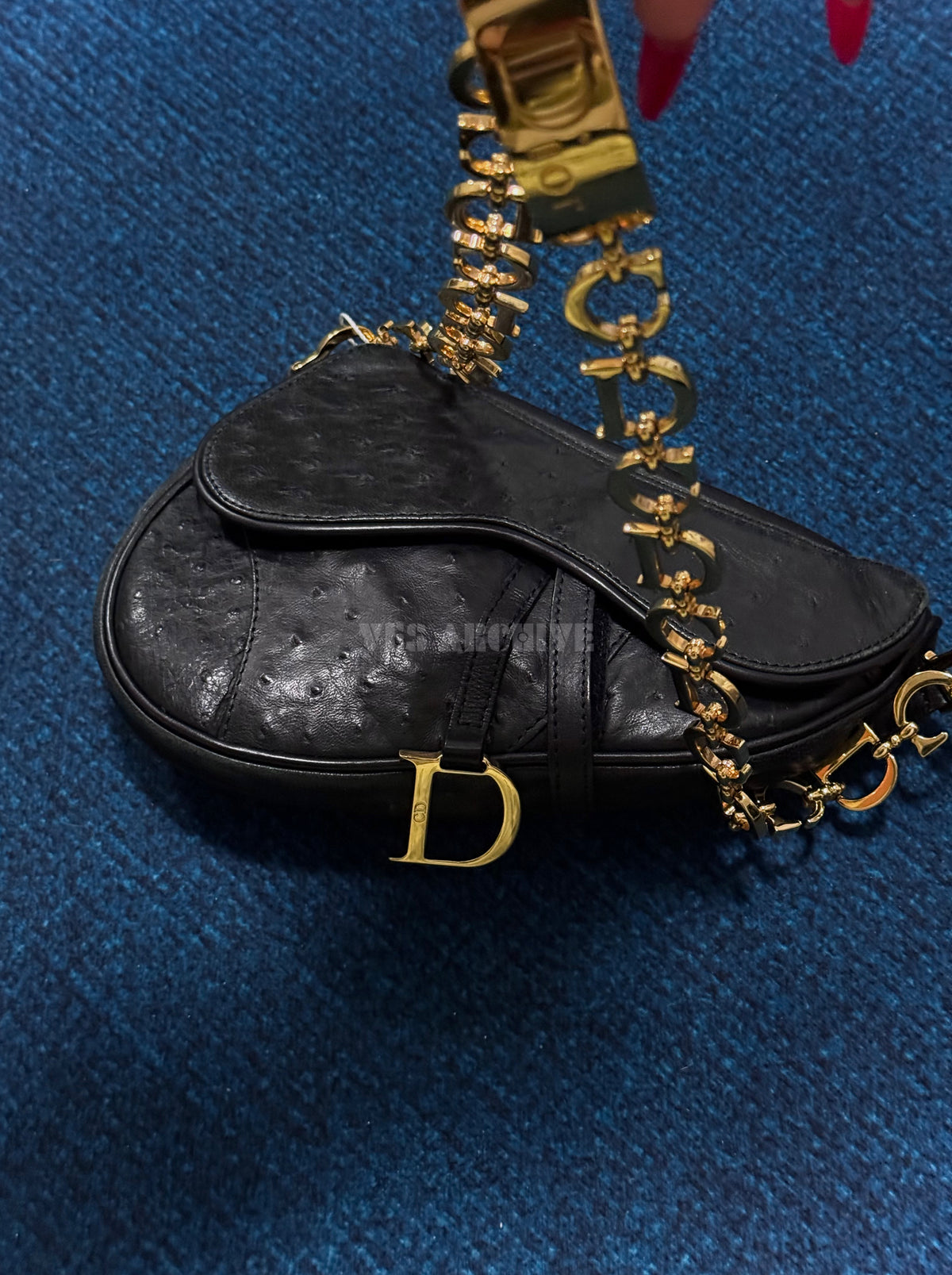 Christian Dior Double Saddle Bag in Black Ostrich Leather