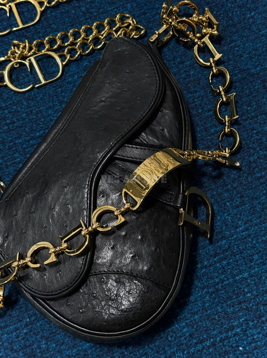 Christian Dior Double Saddle Bag in Black Ostrich Leather